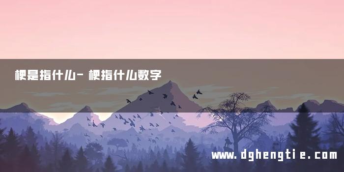 梗是指什么-梗指什么数字
