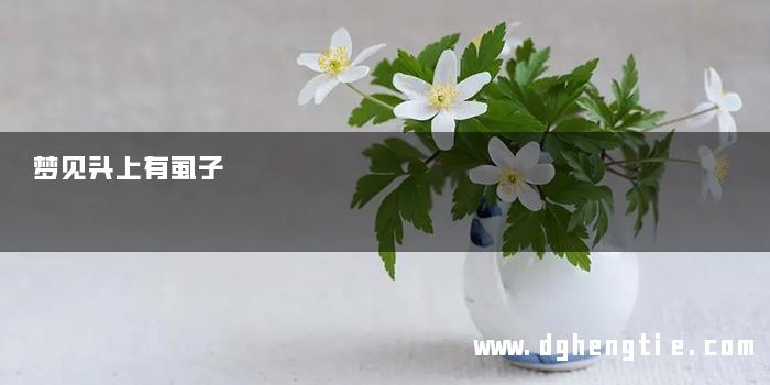 梦见头上有虱子