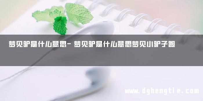 梦见驴是什么意思-梦见驴是什么意思梦见小驴子跑