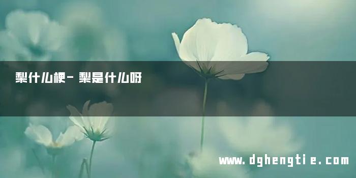 梨什么梗-梨是什么呀