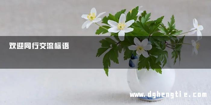 欢迎同行交流标语