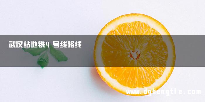 武汉站地铁4号线路线