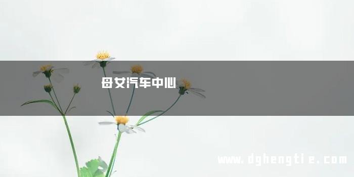 母女汽车中心