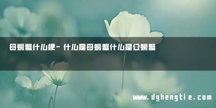 母螃蟹什么梗-什么是母螃蟹什么是公螃蟹