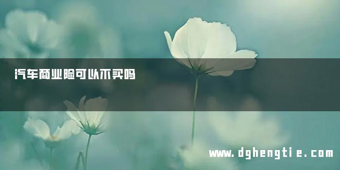 汽车商业险可以不买吗