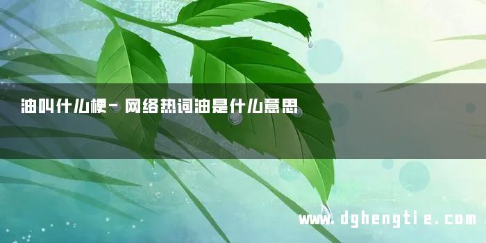 油叫什么梗-网络热词油是什么意思