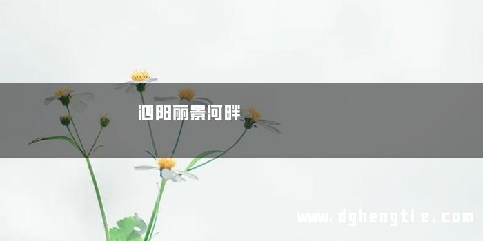 泗阳丽景河畔