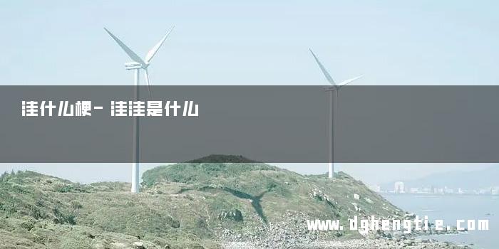 洼什么梗-洼洼是什么