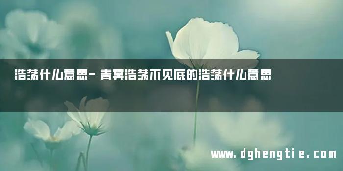 浩荡什么意思-青冥浩荡不见底的浩荡什么意思