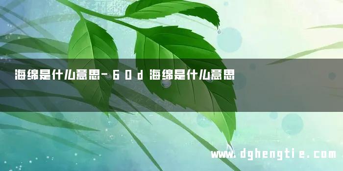 海绵是什么意思-60d海绵是什么意思