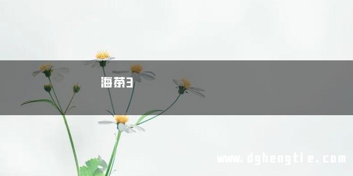 海茶3