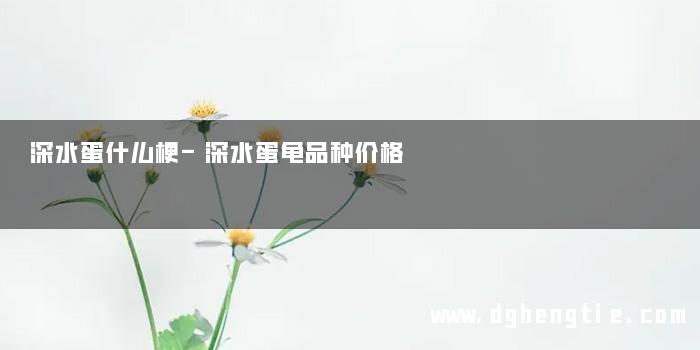 深水蛋什么梗-深水蛋龟品种价格