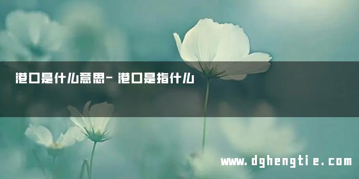 港口是什么意思-港口是指什么
