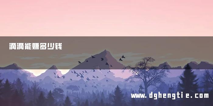 滴滴能赚多少钱