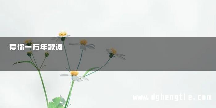 爱你一万年歌词