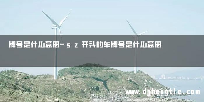 牌号是什么意思-sz开头的车牌号是什么意思