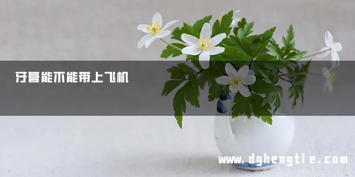 牙膏能不能带上飞机