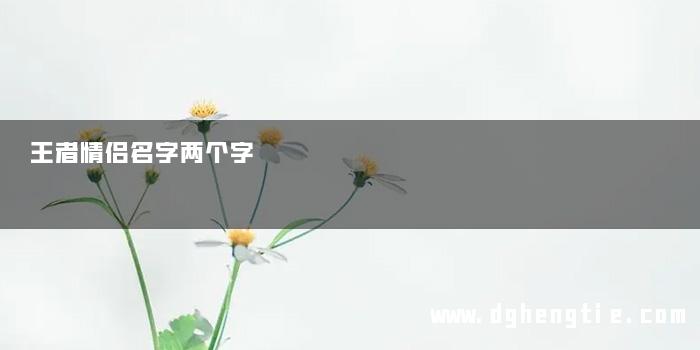 王者情侣名字两个字
