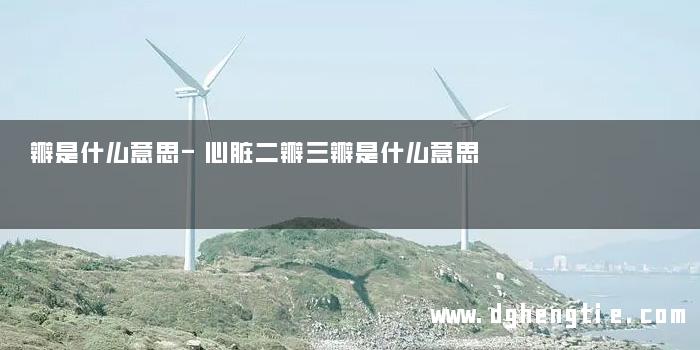 瓣是什么意思-心脏二瓣三瓣是什么意思