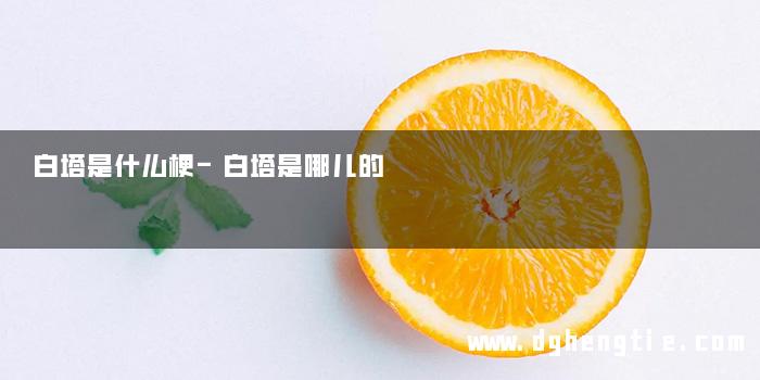 白塔是什么梗-白塔是哪儿的