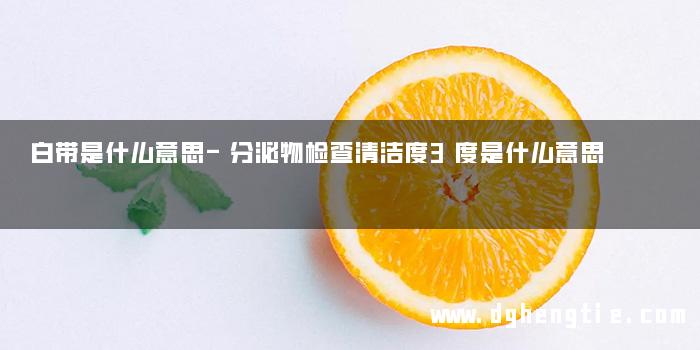 白带是什么意思-分泌物检查清洁度3度是什么意思
