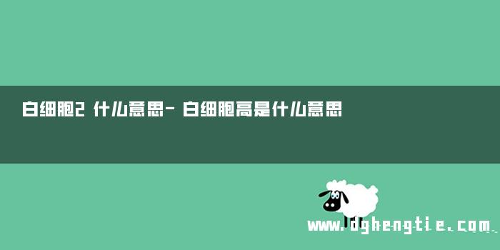 白细胞2什么意思-白细胞高是什么意思