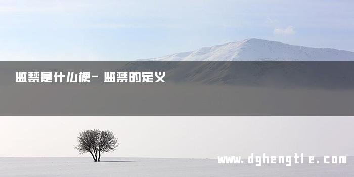 监禁是什么梗-监禁的定义