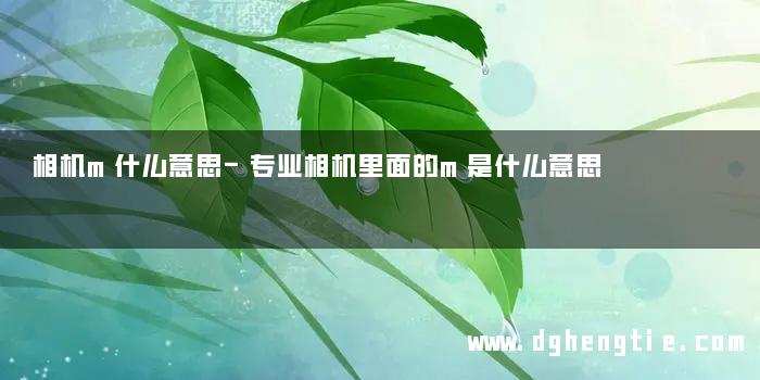 相机m什么意思-专业相机里面的m是什么意思