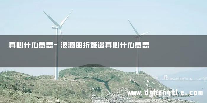 真心什么意思-波澜曲折难遇真心什么意思