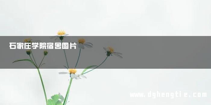 石家庄学院宿舍图片