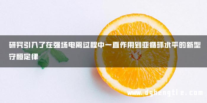 研究引入了在强场电离过程中一直作用到亚循环水平的新型守恒定律