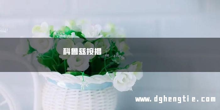 科鲁兹按揭