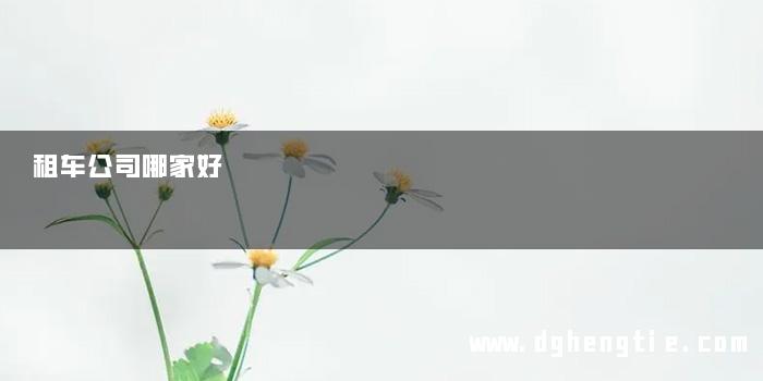 租车公司哪家好