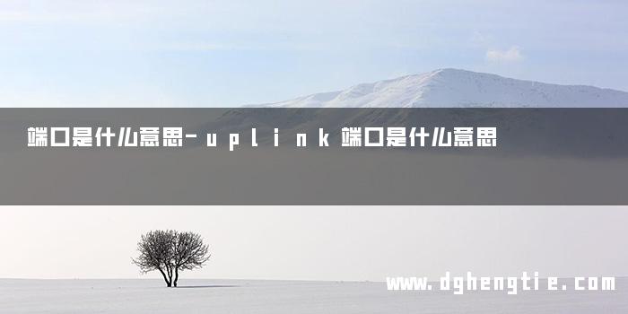 端口是什么意思-uplink端口是什么意思