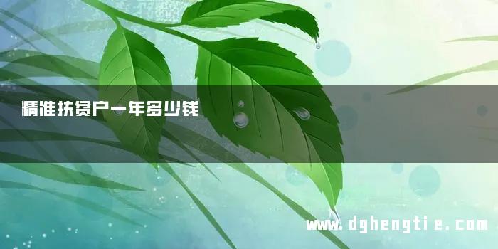 精准扶贫户一年多少钱