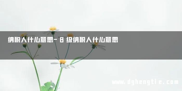 纳税人什么意思-B级纳税人什么意思