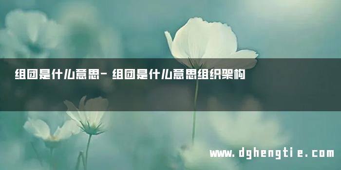 组团是什么意思-组团是什么意思组织架构