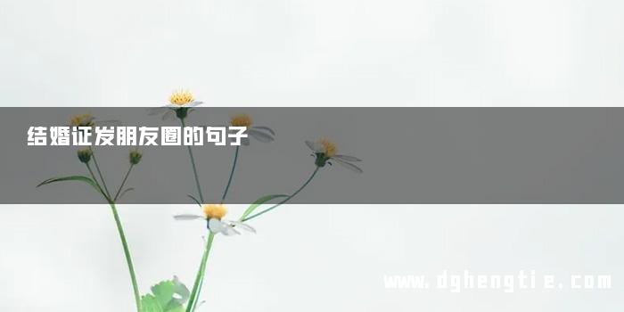 结婚证发朋友圈的句子