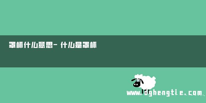 罩杯什么意思-什么是罩杯