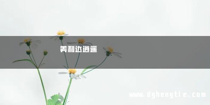 美利达逍遥