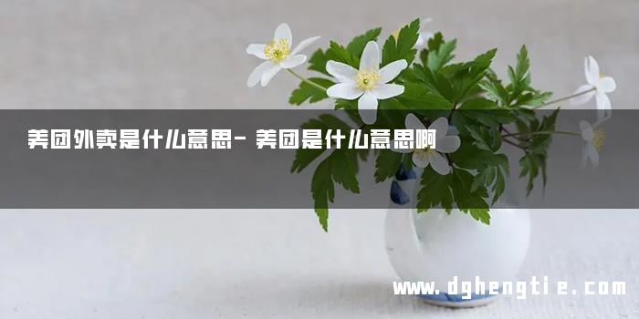 美团外卖是什么意思-美团是什么意思啊