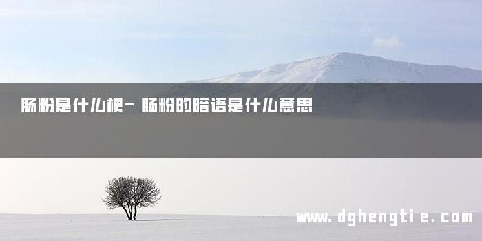 肠粉是什么梗-肠粉的暗语是什么意思