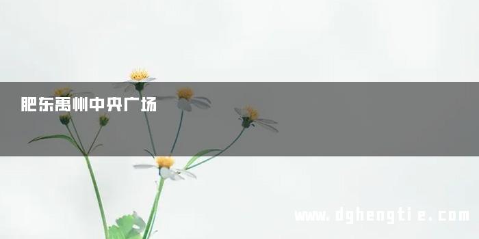 肥东禹州中央广场
