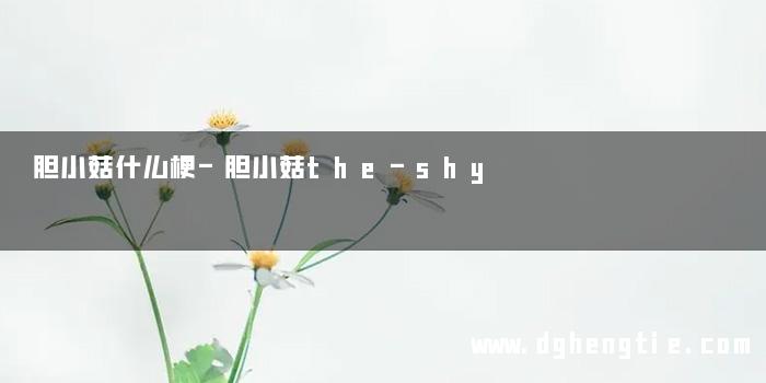 胆小菇什么梗-胆小菇the-shy