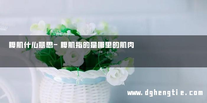 腹肌什么意思-腹肌指的是哪里的肌肉