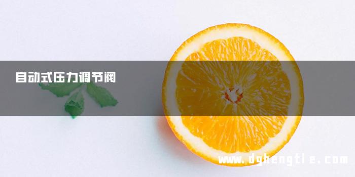 自动式压力调节阀
