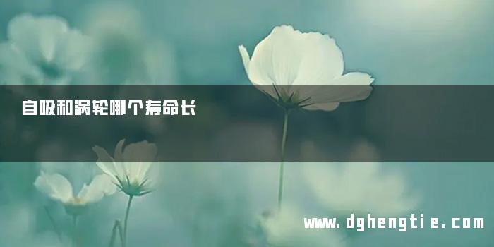 自吸和涡轮哪个寿命长