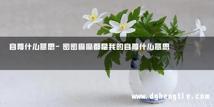 自尊什么意思-密密麻麻都是我的自尊什么意思