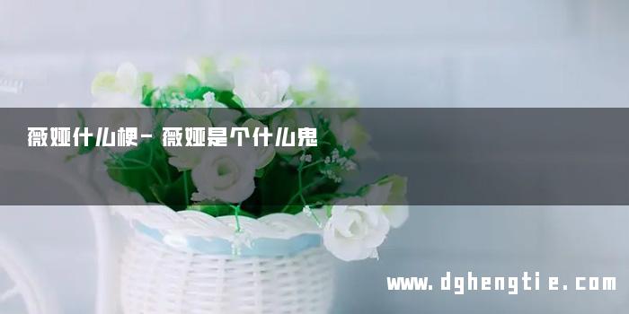 薇娅什么梗-薇娅是个什么鬼