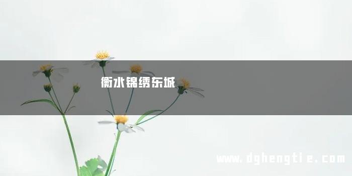 衡水锦绣东城